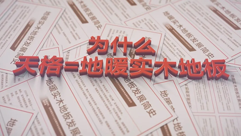 發(fā)明推廣品類 創(chuàng)新服務(wù)迭代 | 為什么“天格”被公認(rèn)為是地暖實木地板的代名詞？